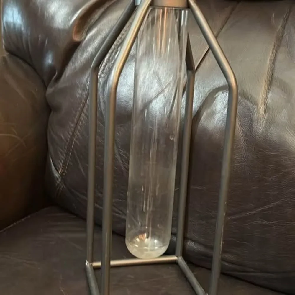 Modern Metal and Glass Test Tube Bud Vase